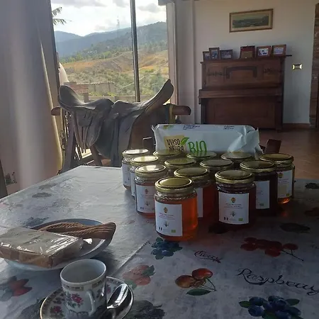 Casale Castello Gallelli *